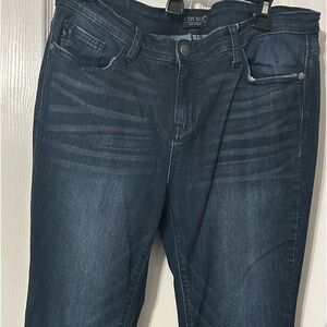 Judy Blue Skinny Jeans